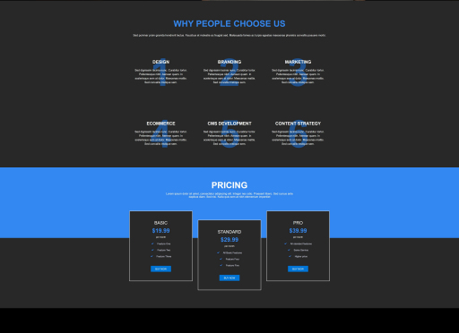 Digital Agency Template